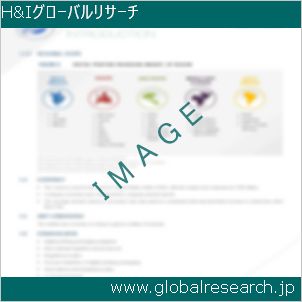グローバルリサーチ調査レポートのイメージ